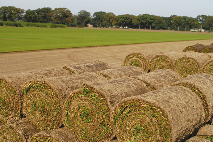 pallet-gras-oogst