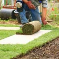 Preparations and placing grass