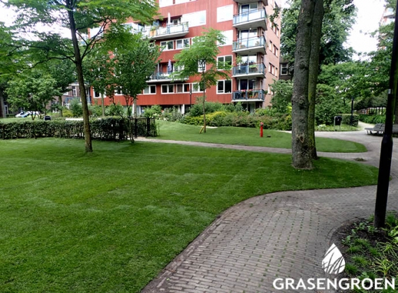 Gras en Groen stadspark Amsterdam