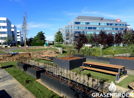 2000m2 Graszoden leggen Diegem