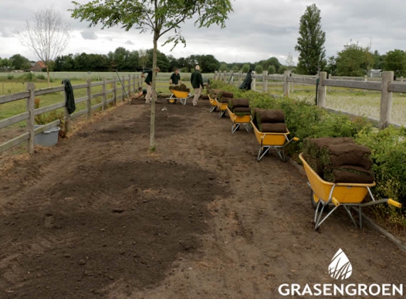 Groot gazon in landelijke tuin Rockanje