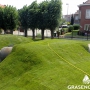 Gras en Groen